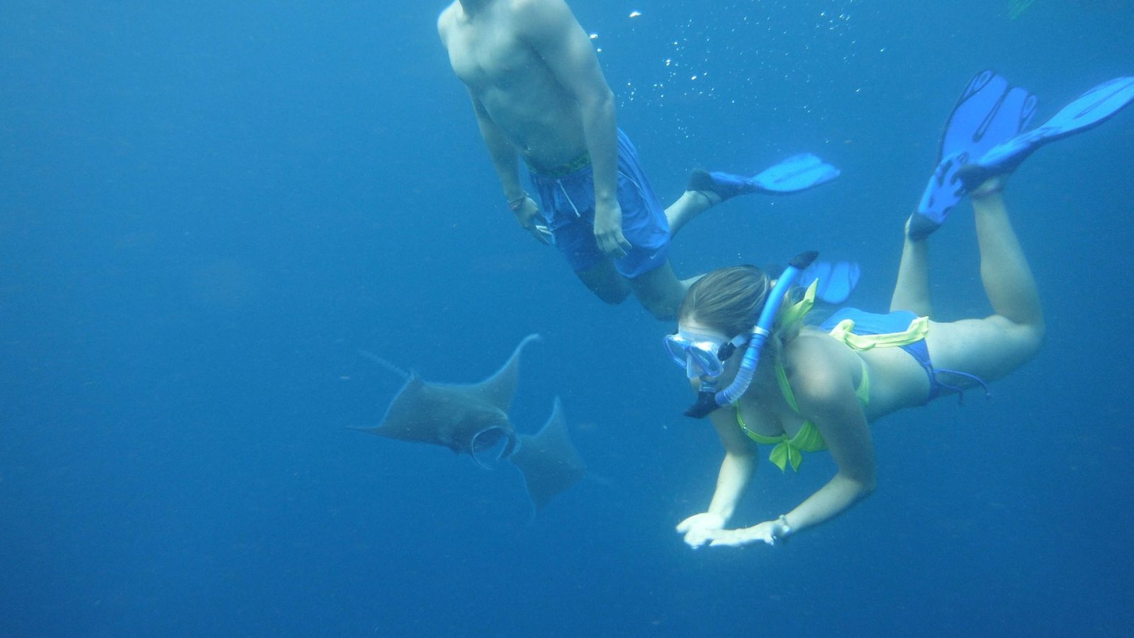 Snorkeling Nusa Penida